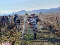 Снимка: Община Стара Загора