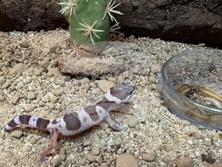 Снимка: Агенция „Митници“