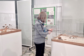 Исперих - Исторически музей - изложба