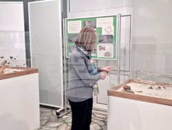 Исперих - Исторически музей - изложба