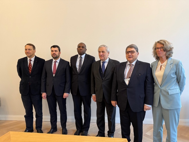 Foreign Minister in Munich: Illegal Migration Is Significant World Challenge Undermining Social Security