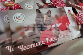 Русе - мартеници - котки - базар