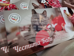 Русе - мартеници - котки - базар