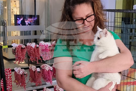 Русе - мартеници - котки - базар