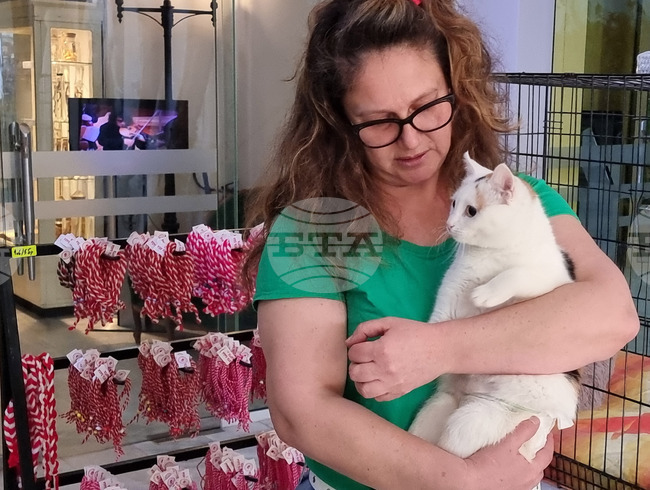 Русе - мартеници - котки - базар