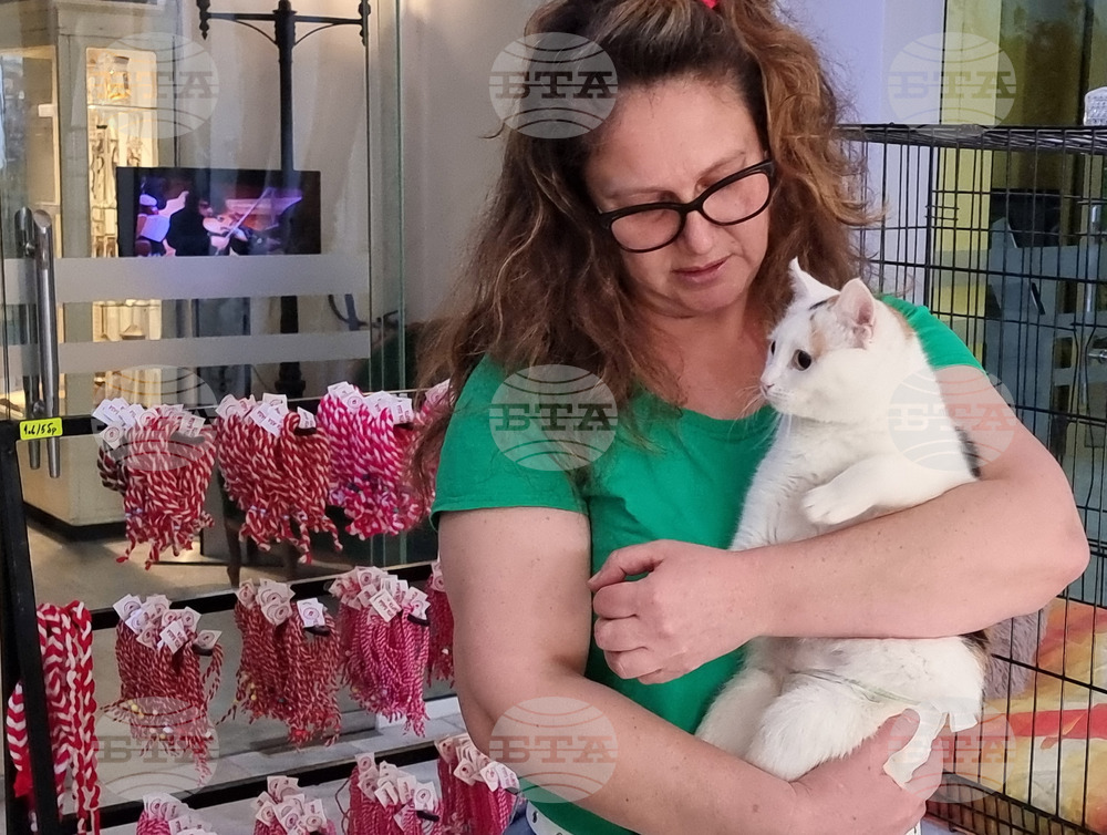 Русе - мартеници - котки - базар