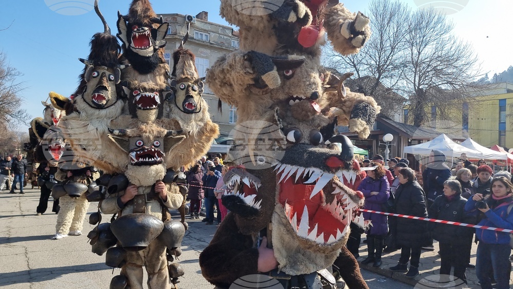 Кюстендил - "Джамала" - второ издание