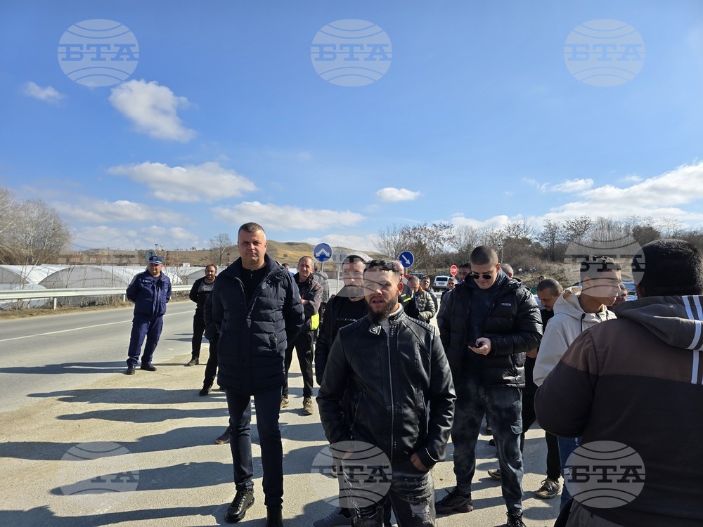 Петрич - дърводобивни фирми - протест