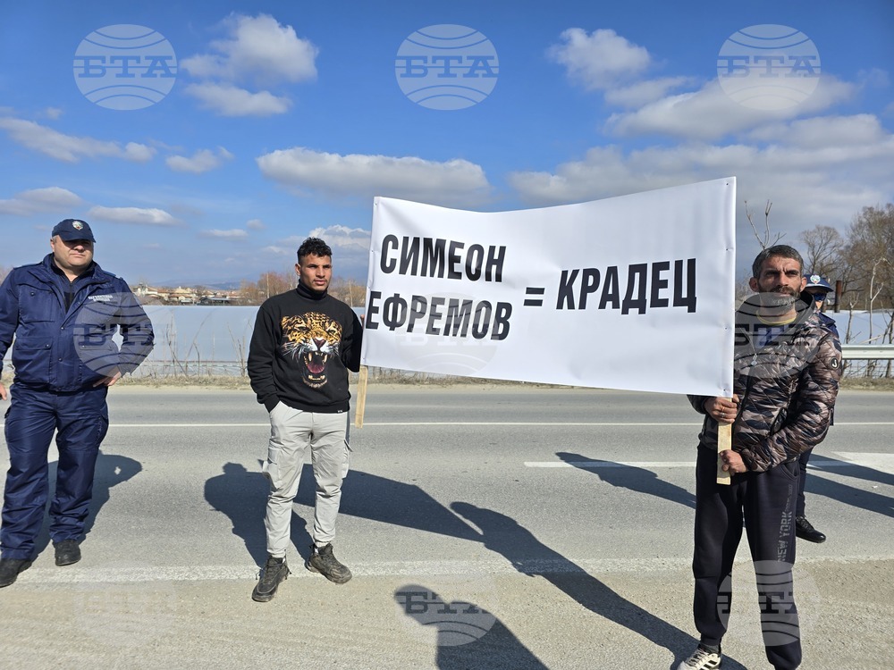 Петрич - дърводобивни фирми - протест