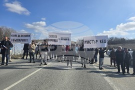 Петрич - дърводобивни фирми - протест