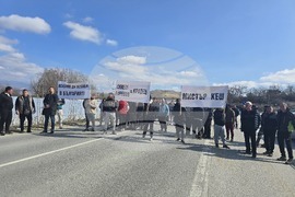 Петрич - дърводобивни фирми - протест