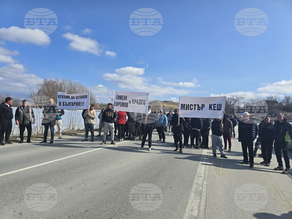Петрич - дърводобивни фирми - протест