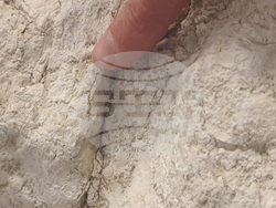 Димитровград - Исторически музей - нови артефакти