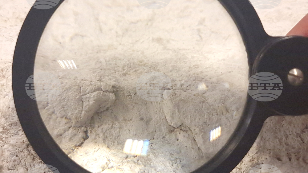 Димитровград - Исторически музей - нови артефакти