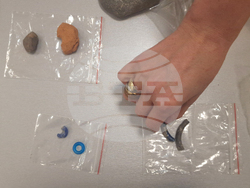 Димитровград - Исторически музей - нови артефакти