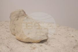 Димитровград - Исторически музей - нови артефакти