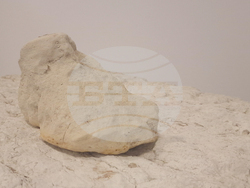 Димитровград - Исторически музей - нови артефакти