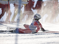 Austria Ski Worlds