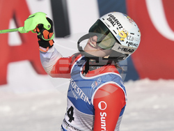 Austria Ski Worlds