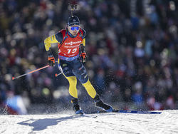 Switzerland Biathlon Worlds