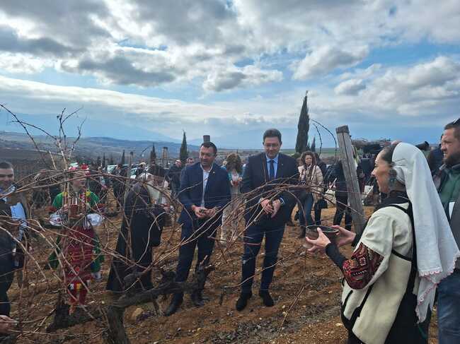 МЗХ: 362 са регистрираните изби в България