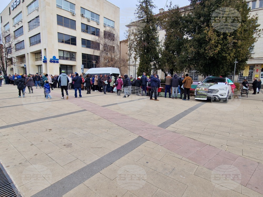 Над 16 000 фиданки бяха раздадени в Перник от инициативата Гората.бг