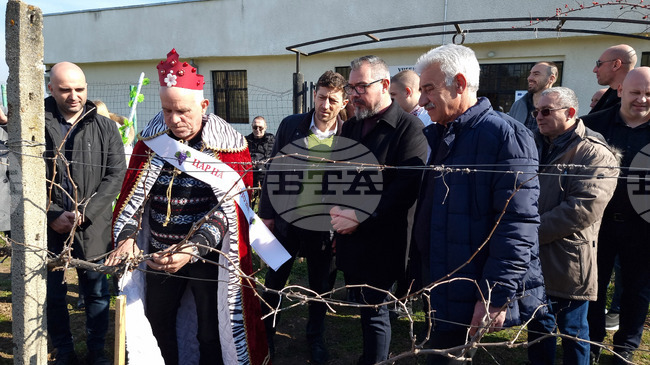 Село Скалица - Общински празник на виното