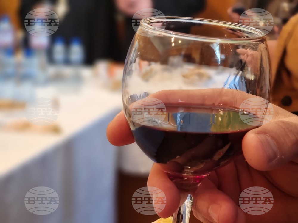 Село Скалица - Общински празник на виното