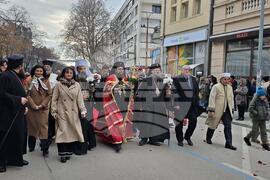 Видин - митрополит Пахомий - тържествено посрещане