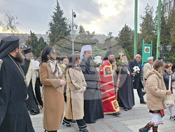 Видин - митрополит Пахомий - тържествено посрещане