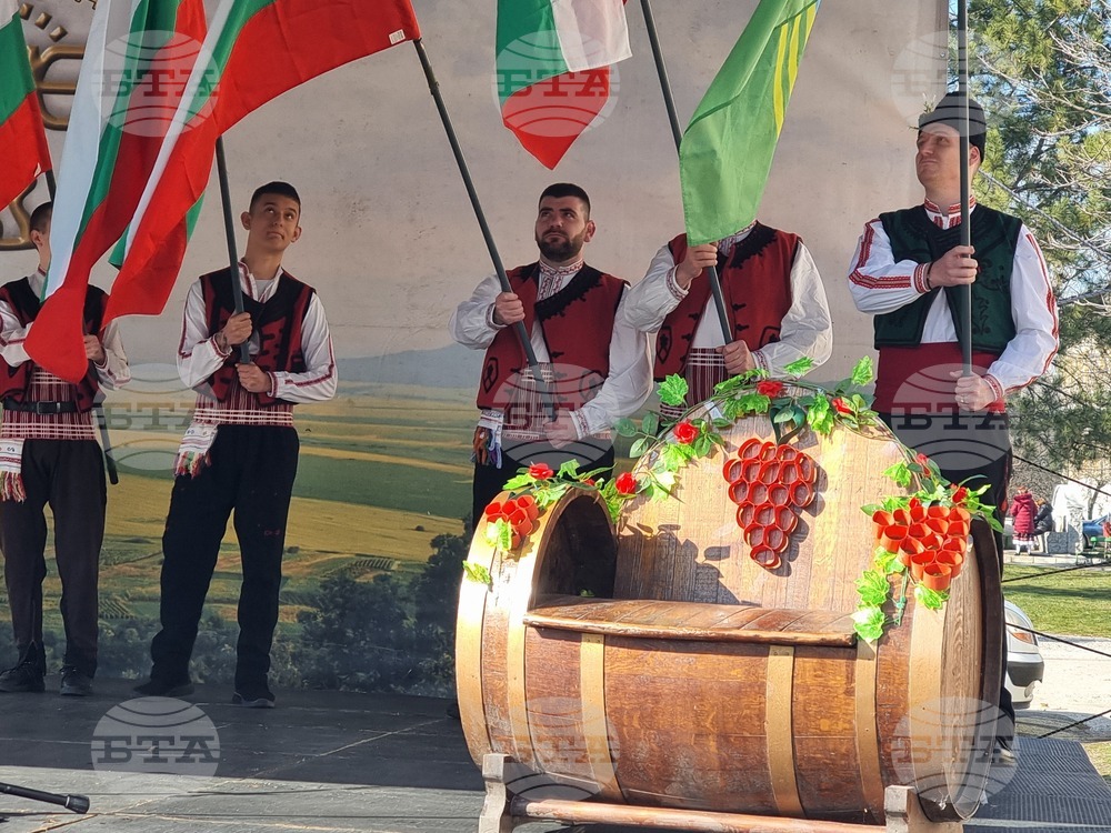 Село Скалица - Общински празник на виното