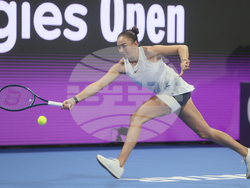 Qatar Open Tennis
