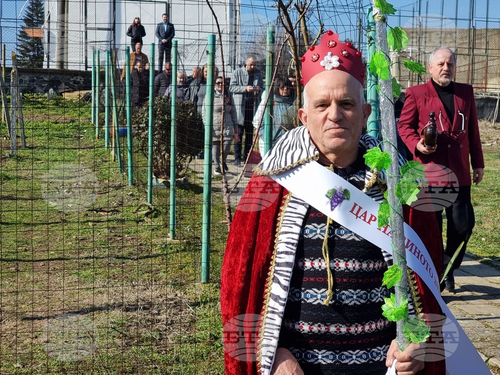Село Скалица - Общински празник на виното