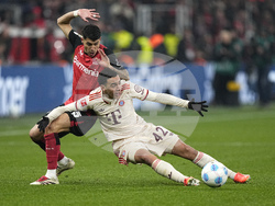 Germany Soccer Bundesliga