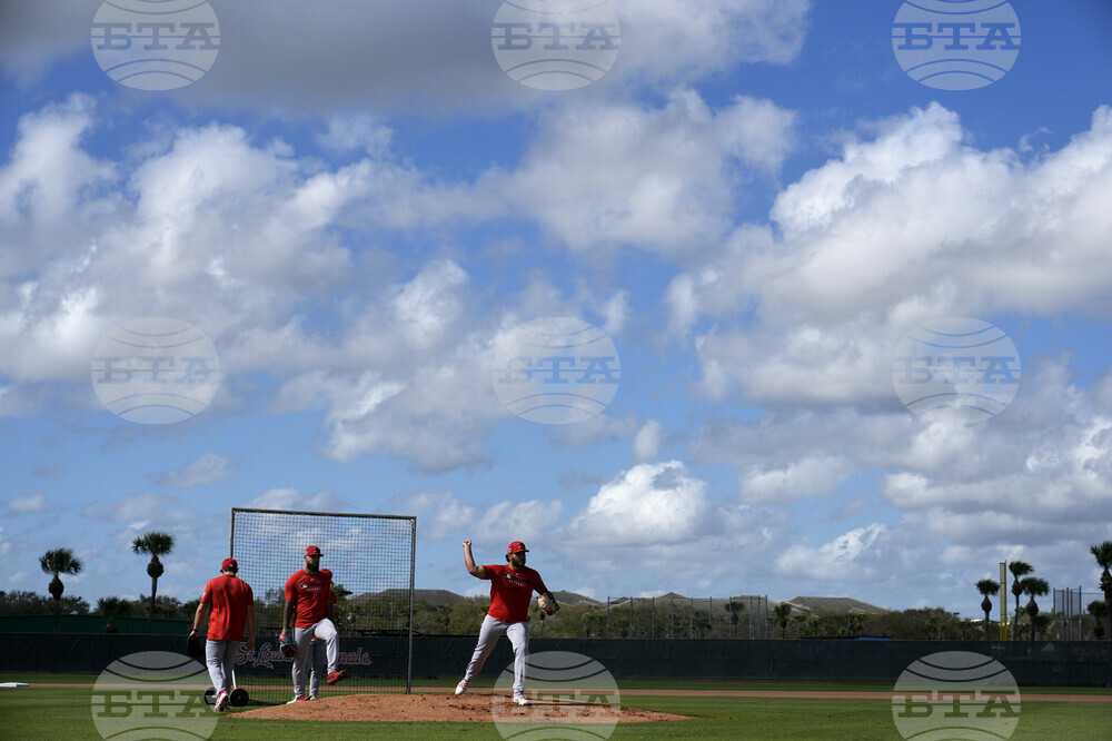 Cardinals Spring Baseball