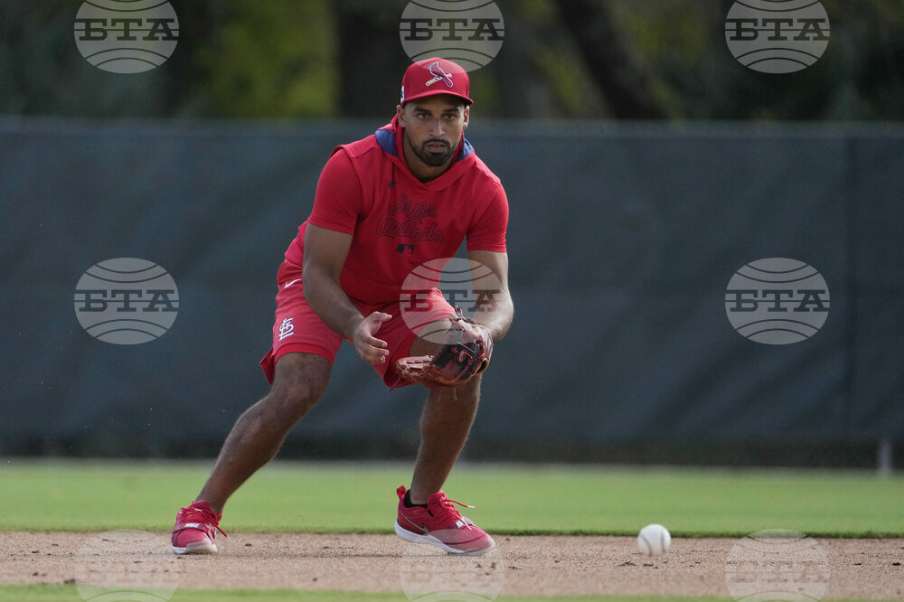 Cardinals Spring Baseball