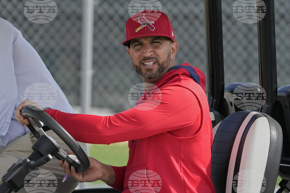 Cardinals Spring Baseball