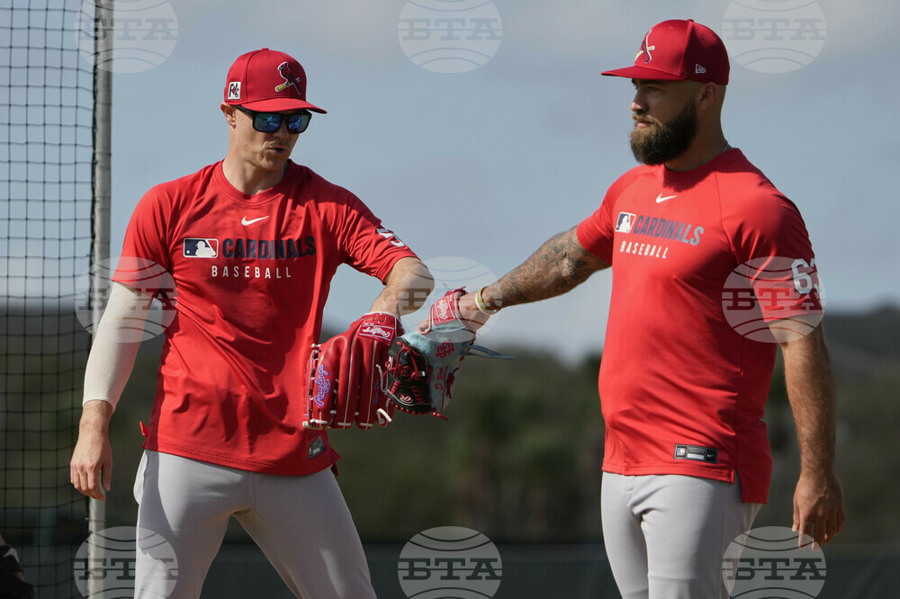 Cardinals Spring Baseball