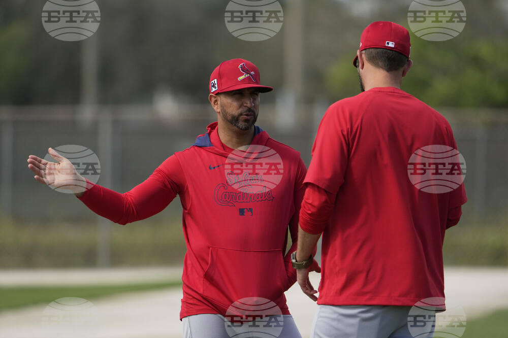 Cardinals Spring Baseball