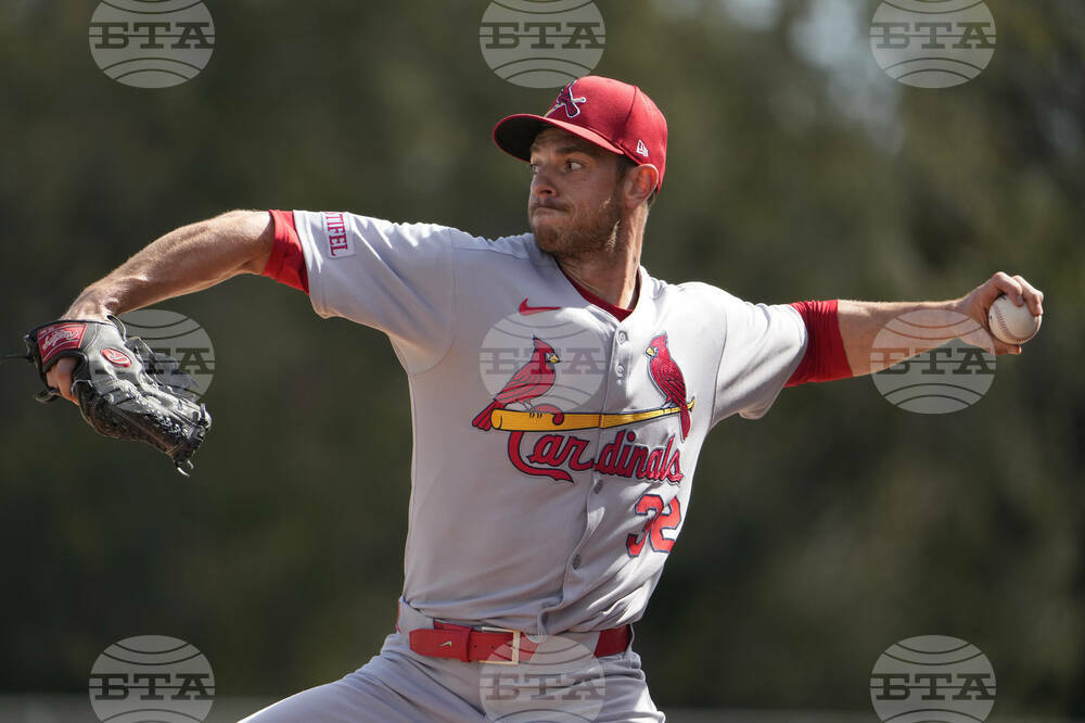 Cardinals Spring Baseball