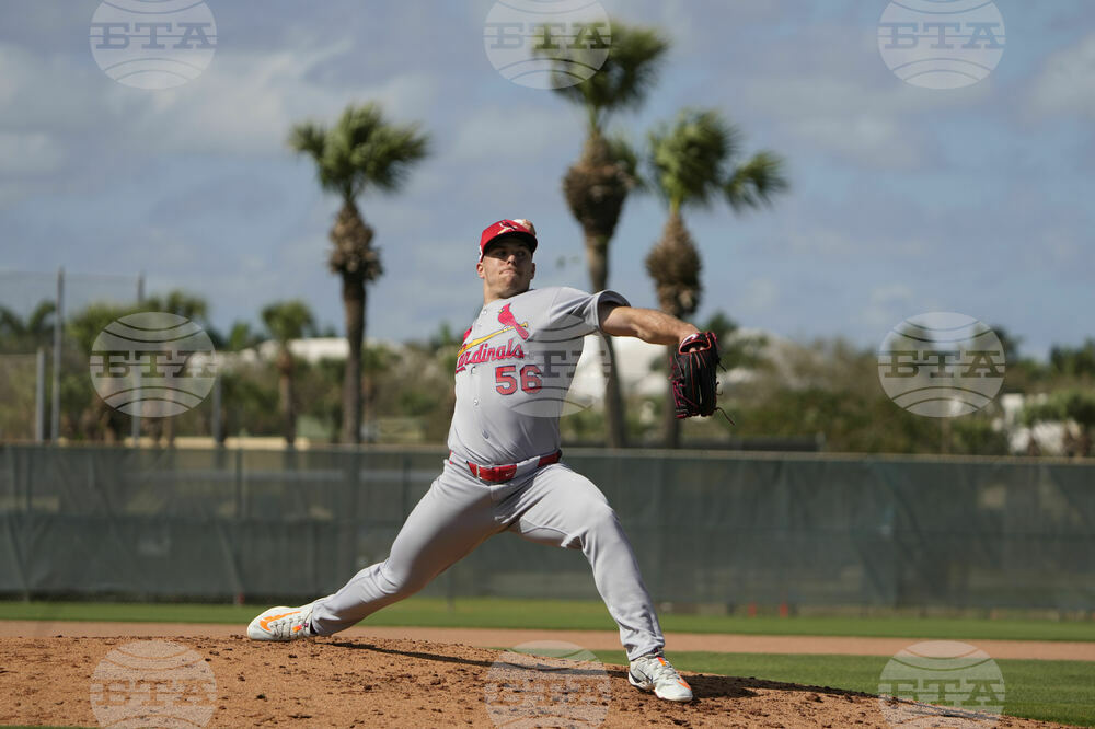 Cardinals Spring Baseball