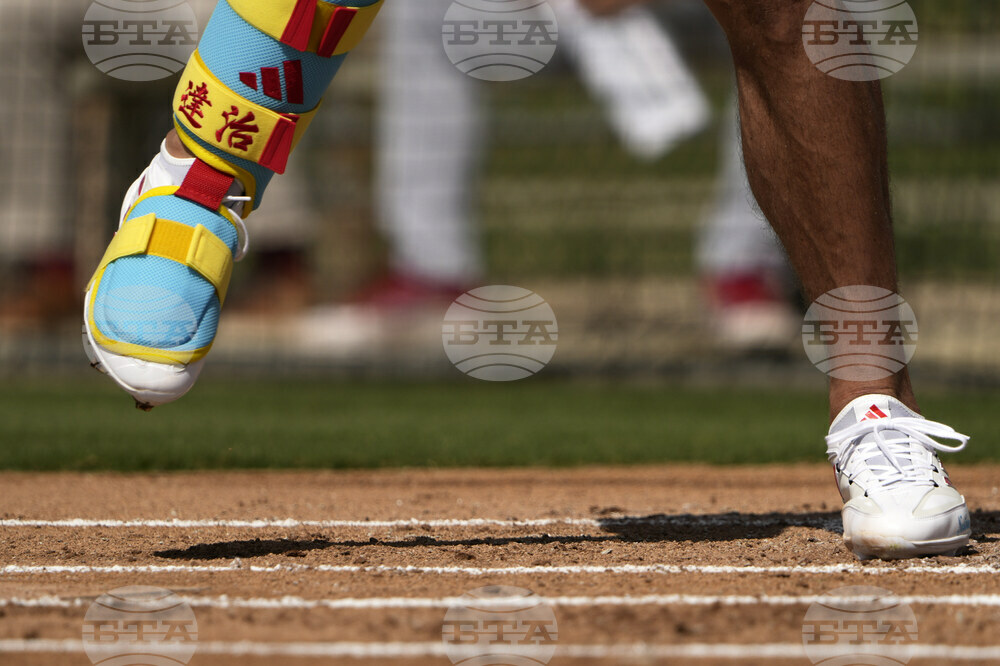 Cardinals Spring Baseball