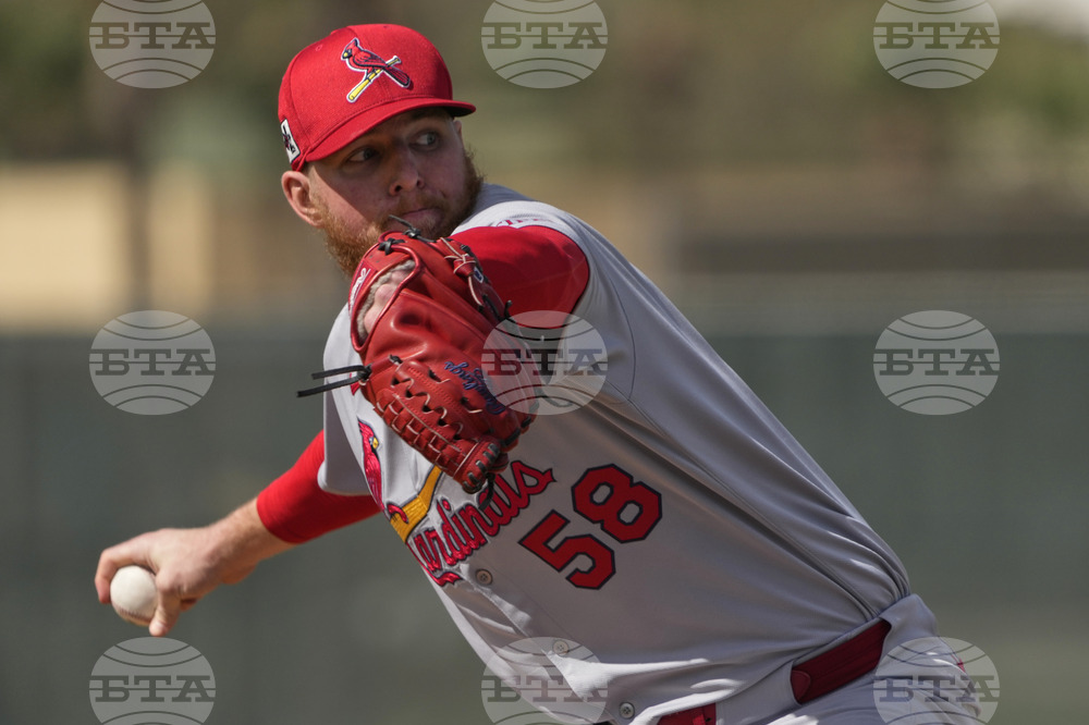 Cardinals Spring Baseball