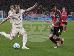 Germany Soccer Bundesliga