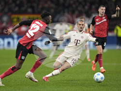 Germany Soccer Bundesliga