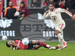 Germany Soccer Bundesliga