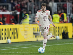 Germany Soccer Bundesliga