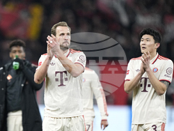 Germany Soccer Bundesliga