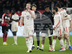 Germany Soccer Bundesliga