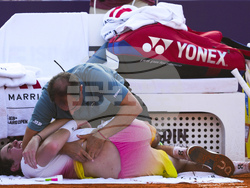 Argentina Open ATP Tennis